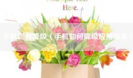 手机如何降级（手机如何降级应用版本）