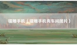 镭雕手机（镭雕手机壳车间图片）