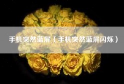 手机突然蓝屏（手机突然蓝屏闪烁）