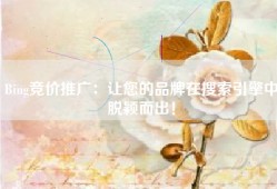 Bing竞价推广：让您的品牌在搜索引擎中脱颖而出！