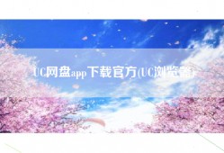 UC网盘app下载官方(UC浏览器)