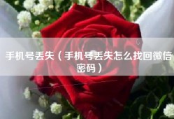 手机号丢失（手机号丢失怎么找回微信密码）