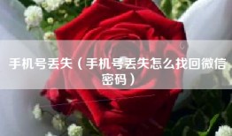 手机号丢失（手机号丢失怎么找回微信密码）