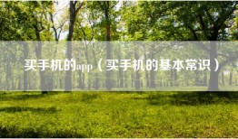 买手机的app（买手机的基本常识）