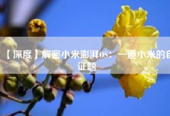 【深度】解密小米澎湃OS：一道小米的自证题