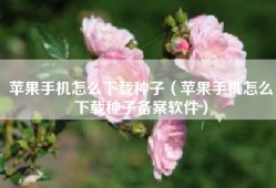苹果手机怎么下载种子（苹果手机怎么下载种子备案软件）