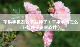 苹果手机怎么下载种子（苹果手机怎么下载种子备案软件）