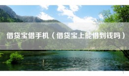 借贷宝借手机（借贷宝上能借到钱吗）