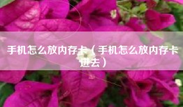 手机怎么放内存卡（手机怎么放内存卡进去）