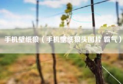 手机壁纸狼（手机壁纸狼头图片 霸气）
