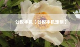 公模手机（公模手机定制）
