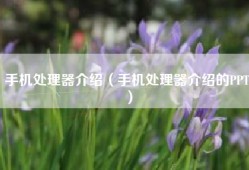手机处理器介绍（手机处理器介绍的PPT）