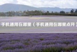 手机通用在哪里（手机通用在哪里点开）