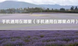 手机通用在哪里（手机通用在哪里点开）