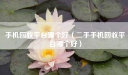 手机回收平台哪个好（二手手机回收平台哪个好）