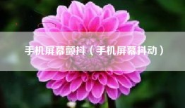 手机屏幕颤抖（手机屏幕抖动）