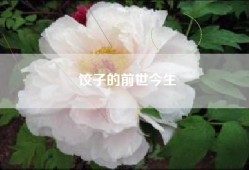 饺子的前世今生