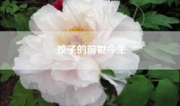 饺子的前世今生
