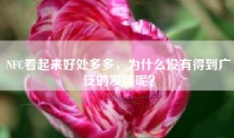 NFC看起来好处多多，为什么没有得到广泛的发展呢？