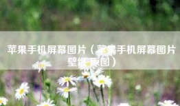 苹果手机屏幕图片（苹果手机屏幕图片壁纸 原图）