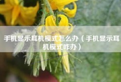 手机显示耳机模式怎么办（手机显示耳机模式咋办）