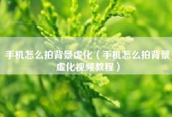 手机怎么拍背景虚化（手机怎么拍背景虚化视频教程）