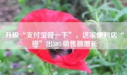 升级“支付宝碰一下”，这家便利店“碰”出30%销售额增长