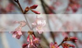 杨涛