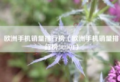 欧洲手机销量排行榜（欧洲手机销量排行榜2023Q4）