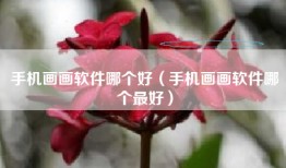 手机画画软件哪个好（手机画画软件哪个最好）