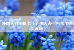外国人办手机卡（外国人办手机卡 网络受限吗）