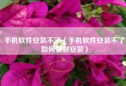 手机软件安装不了（手机软件安装不了如何强制安装）