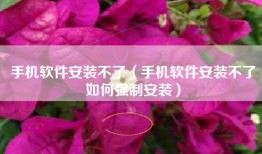 手机软件安装不了（手机软件安装不了如何强制安装）