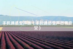 手机通话变声器（手机通话变声器男变女）