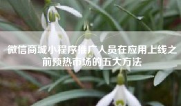 微信商城小程序推广人员在应用上线之前预热市场的五大方法