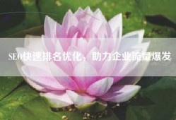 SEO快速排名优化，助力企业流量爆发