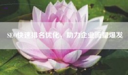 SEO快速排名优化，助力企业流量爆发