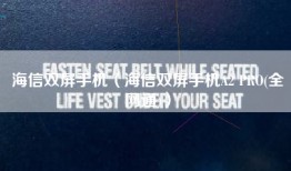 海信双屏手机（海信双屏手机A2 PRO(全网通)）