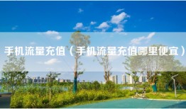 手机流量充值（手机流量充值哪里便宜）