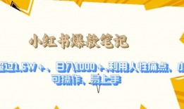 利用人性的痛点，打造爆款笔记，获得点赞超过1.5W+，日入1k【揭秘】