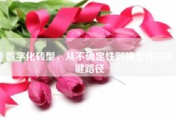 数字化转型，从不确定性到确定性的关键路径
