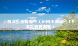 手机浏览器有哪些（带网页翻译的手机浏览器有哪些）