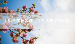 手机入水怎么办（手机入水了怎么办）