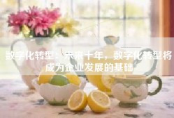 数字化转型：未来十年，数字化转型将成为企业发展的基础