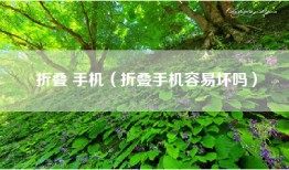 折叠 手机（折叠手机容易坏吗）