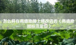 怎么样在高德地图上修改店名（高德地图标注定位）