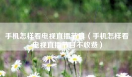 手机怎样看电视直播节目（手机怎样看电视直播节目不收费）