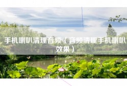 手机喇叭清理音频（音频清理手机喇叭效果）