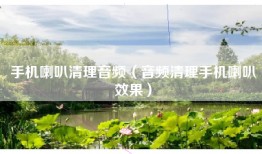 手机喇叭清理音频（音频清理手机喇叭效果）