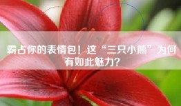 霸占你的表情包！这“三只小熊”为何有如此魅力？